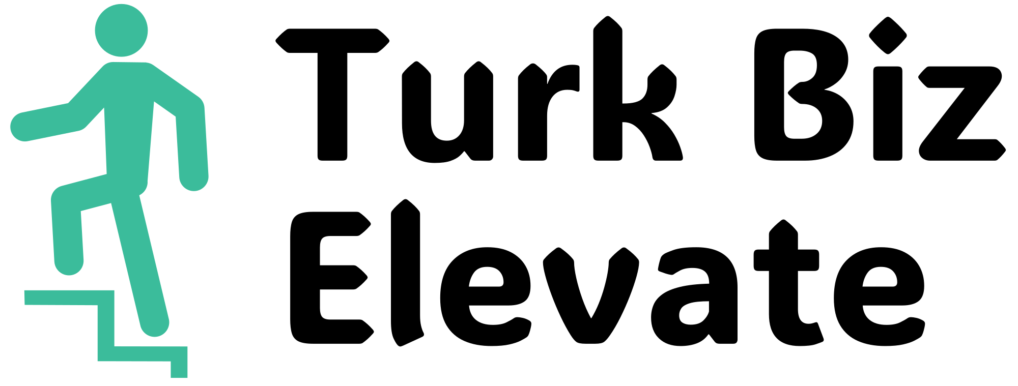 Turk Biz Elevate